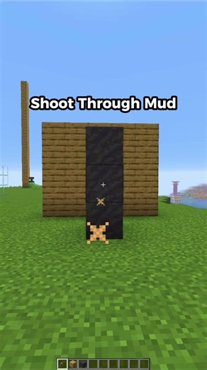 Minecraft Mythbusting🎍