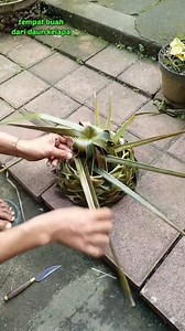4.5M views · 61K reactions | Tutorial tempat buah dari daun kelapa. . Full dan slow video ada di galeri Dwija PanJavas social media #tutorial #anyamandaunkelapa #coconutleafcraft #diy #tempatbuah #keranjang #basket #idekreatif #fruitbasket #kreasijanur #palmleafart @sorotan Dewa Ayu Triana Dewi | Dwija PanJavas | Facebook