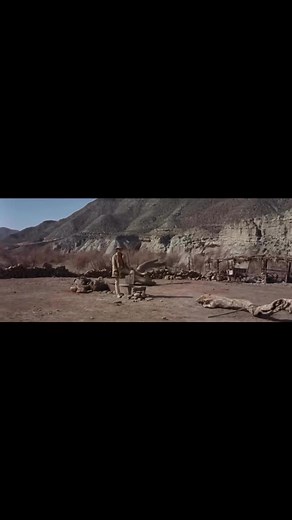 are you local on Reels