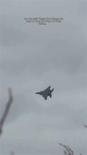 These Two Aircraft Are Rare To See Nowadays But What Are They Called..🤷 #airforce