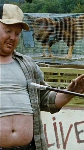 Rhode Island Reds chicken. The Devil's Rejects (2005). Rob Zombie 📽