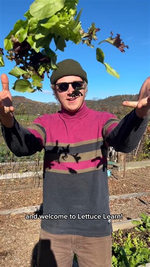 Lettuce 🥬 Learn... about winterizing your garden bed! Education Lead Zack shares why and how you can prepare your garden for the season ahead. And lettuce 🥬 know... what else would you like to learn about? | Cedar Circle Farm & Education Center
