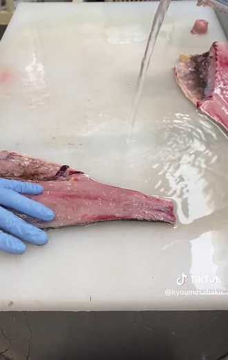 ボラを捌く方法と刺身の作り方