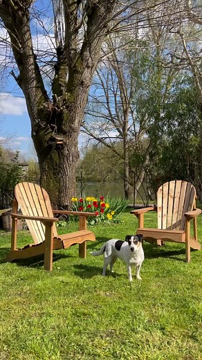 Quand la pelouse est fraichement tondue ☺️#pelouse #spring #campagne #printemps #countrysidelife