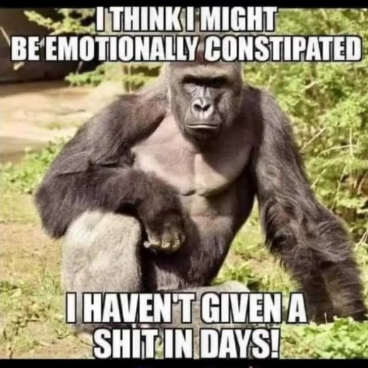 812K views · 9.3K reactions | Emotionally constipated | Ricky Gibson | Facebook