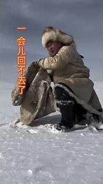 How did the original Mongolian nomadic people camp on the grasslands? #food #cooking #Mongolia