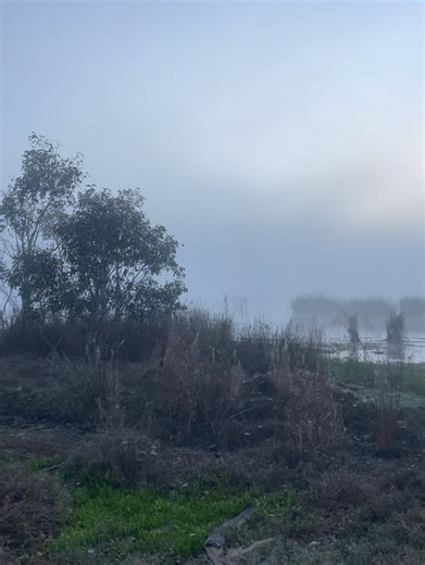 24 reactions · 3 comments | Field & Game Australia on Reels | Facebook