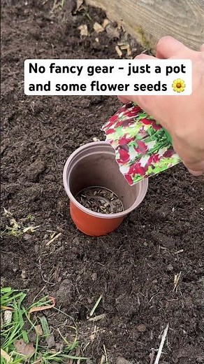 How I Use a Garden Pot to Scatter Flower Seeds!