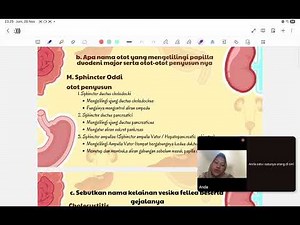 Anatomi Plexus Sacralis