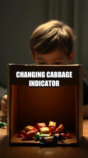 Five Hands-On Experiments That Turn Home into a Mini Lab