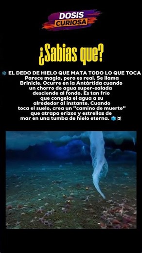 El Dedo de la Muerte Congela la Vida Instantáneamente #brinicle #antártida #shorts
