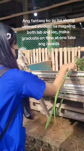 Life as a Veterinary Medicine Student: A Dream Journey