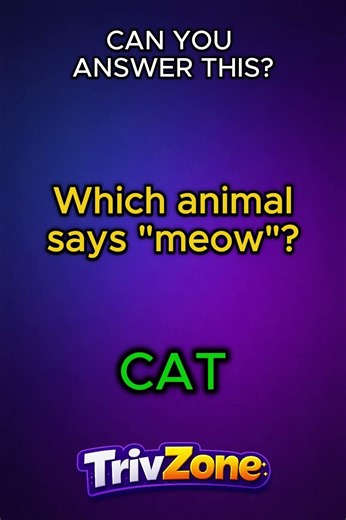 Kids Quiz! How Many Can You Answer? 🧠