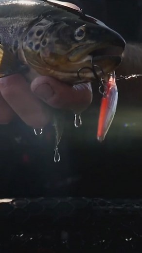 #expectationvreality #foryoupage #fishing #rapala