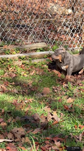 Transforming Vision for X'ED OUT BULLZ in 2025