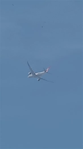 airplane flag in pakistan #airplane