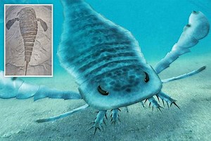 Giant 8-foot scorpions once terrorised Earth's oceans and had legs with 'teeth'