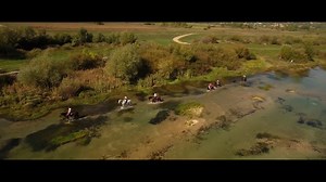 14K views · 166 reactions | This awesome video has captured the...