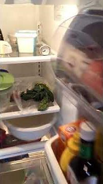 Refrigerator thermostat adjustment