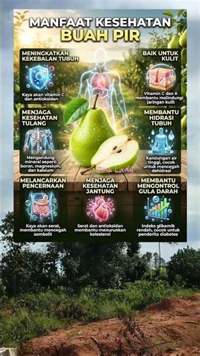 inilah manfaat buah pir yang jarang diketahui