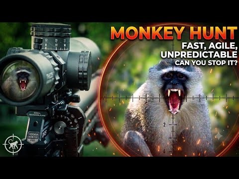 Hunting Monkeys, Doves & Starlings | FAST, AGILE, UNPREDICTABLE | FX DRS PRO MKII | ZAN ELR HP SLUGS