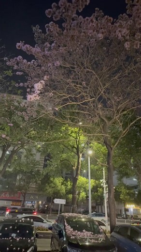 Gentle Moments in the City Night 🌸 #CityVibes #NightAesthetic #Shorts