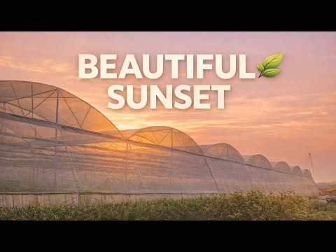 Beautiful Sunset A Peaceful View of Nature’s True Beauty.