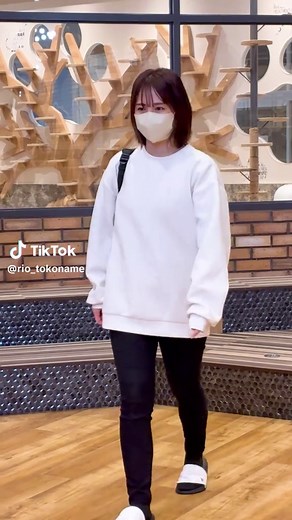 イオンモール常滑のいぬねこカフェRioの魅力