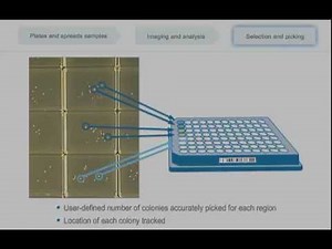 Colony pickers - QPix colony picking; bacterial colonies, yeast colony