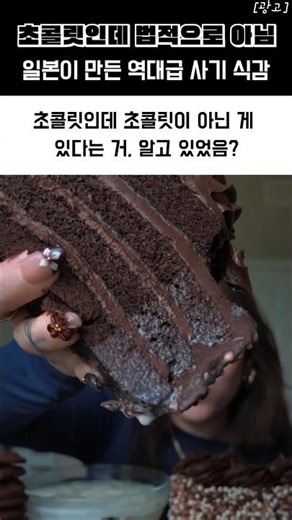 초콜릿인데 법적으로 아님 일본이 만든 역대급 사기 식감 #나마노토키 #메이지초콜릿 #일본과자추천