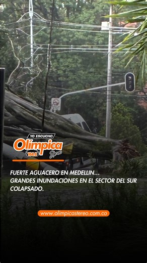El desbordamiento de la quebrada La Presidenta provocó inundaciones, caída de árboles y daños en vehículos, con mayor afectación en El Poblado, mientras organismos de emergencia atendieron múltiples incidentes. Las fuertes lluvias registradas en Medellín durante el 28 de enero de 2026 provocaron múltiples emergencias por inundaciones, especialmente en el suroriente de la ciudad, donde las autoridades mantienen activos los protocolos de atención y monitoreo. | Olimpica Medellin