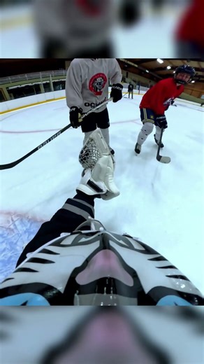 POV: Hockey Goalie with Defender Series Phone Case