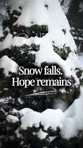 Miracles Don't Wait For Spring