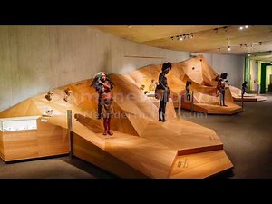 Teil 2 Humanevolution (Biologie): Affe – Australopithecus – Homo: Eine morphologische Einordnung