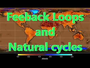 Feedback Loops and Natural Cycles in Global Warming
