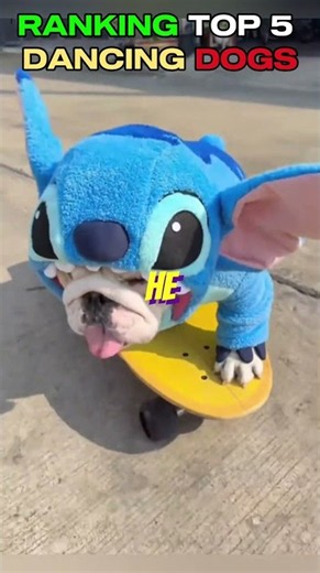 RANKING TOP 5 DOGS WITH HALLOWEEN COSTUMES