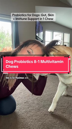 Gut issues? itchy skin? bad breath? These 8 in 1 probiotc chews are a must have -Results may vary- #probioticsfordogs #dogmedicine #doghealthy #petcaretips #dogguthealth Dog medicine Dog healthy