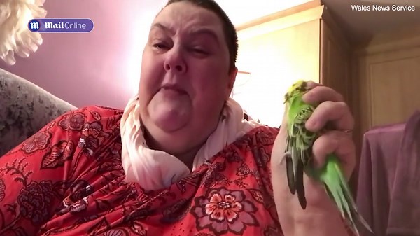Heartbroken budgie owner calls for noisy firework ban after budgie dies