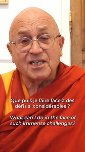 Un message de Matthieu Ricard. Face à l’ampleur des défis de notre monde, chacun peut agir à sa mesure. Jour après jour, goutte à goutte, nos engagements deviennent une force collective. __________________________________________ A message from Matthieu Ricard. In the face of the immense challenges of our world, each of us can act in our own way. Day after day, drop by drop, individual commitments become a collective force. | Matthieu Ricard