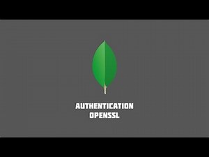 MongoDB Tutorials #2 - Setup Authentication & OpenSSL