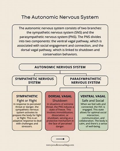 What is Polyvagal Theory?