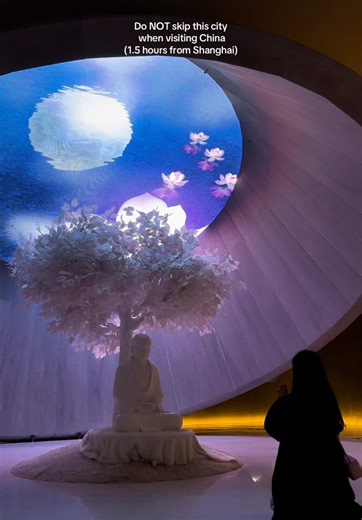 Exploring Nanjing's Dabaoen Temple Heritage Park