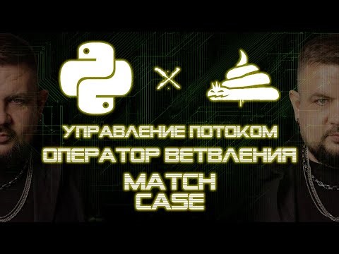 dirty python | оператор ветвления | match case (сопоставление шаблона) [03|01|10]