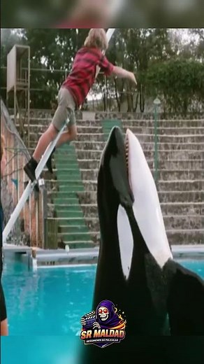 Liberen a Willy #resumendepeliculas#cine