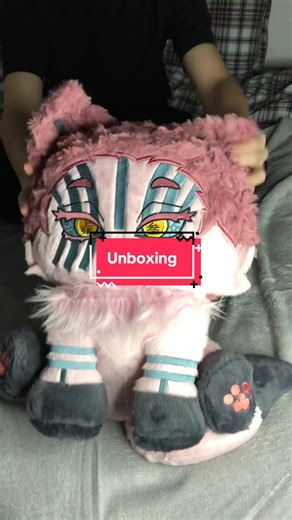 Unboxing Plushies from Anime Series