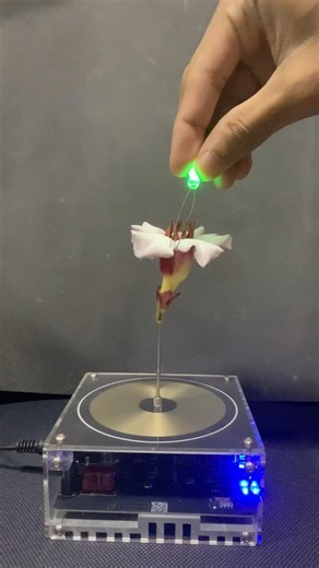 Tesla coil with comb 🌸