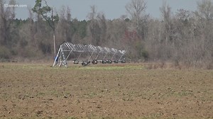 Georgia farmers brace for price spike as Iran war rattles fertilizer markets