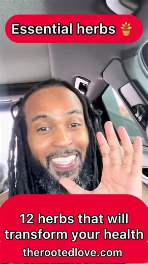 12 Transformative Herbs for Health and Wellness