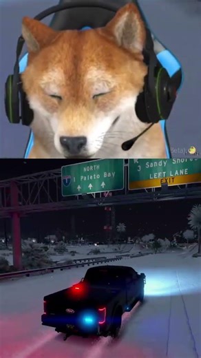 Get out of here! 🙈 #csyon #gta #gtarp #roleplay #shortvideo