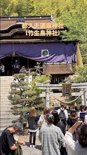 琵琶湖に浮かぶ神秘の島「竹生島(ちくぶしま)」#琵琶湖#竹生島